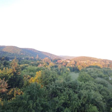 Sky Apartman Sokobanja Buitenkant foto