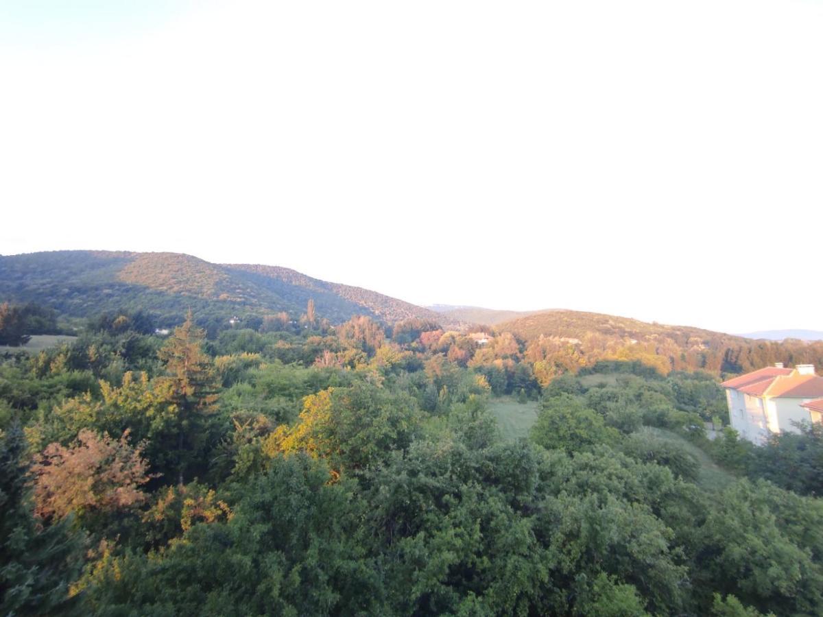 Sky Apartman Sokobanja Buitenkant foto