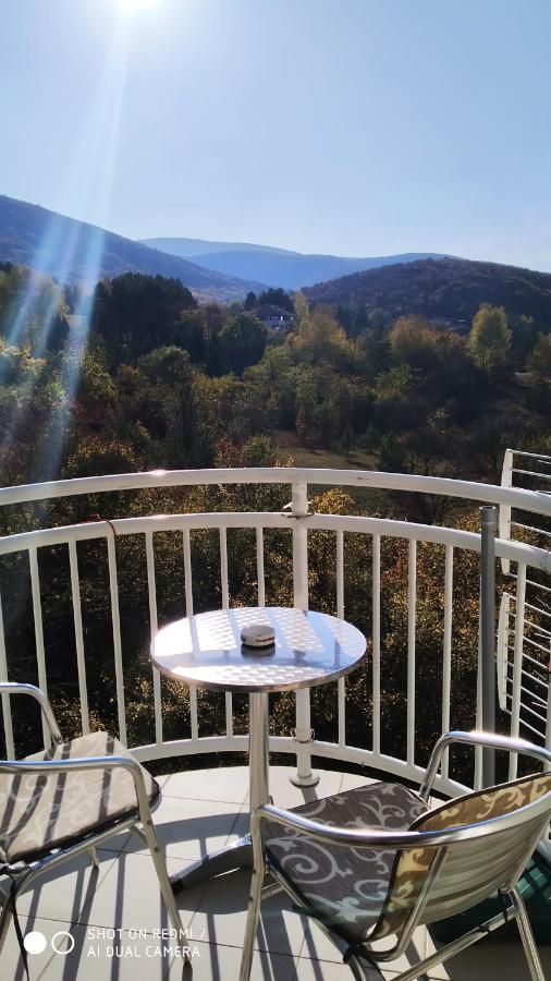 Sky Apartman Sokobanja Buitenkant foto