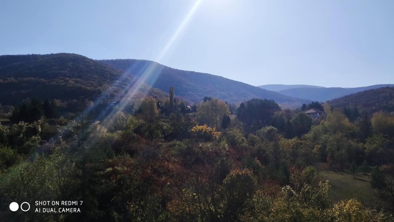 Sky Apartman Sokobanja Buitenkant foto