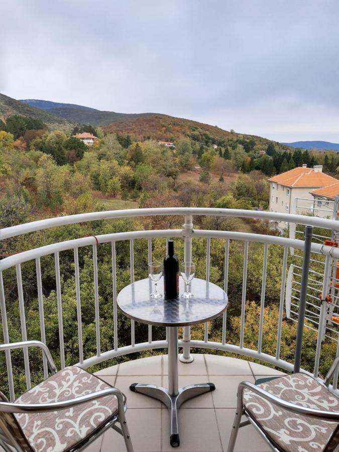 Sky Apartman Sokobanja Buitenkant foto