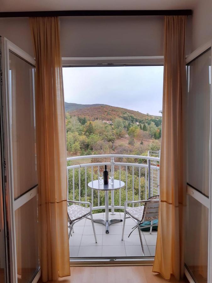 Sky Apartman Sokobanja Buitenkant foto