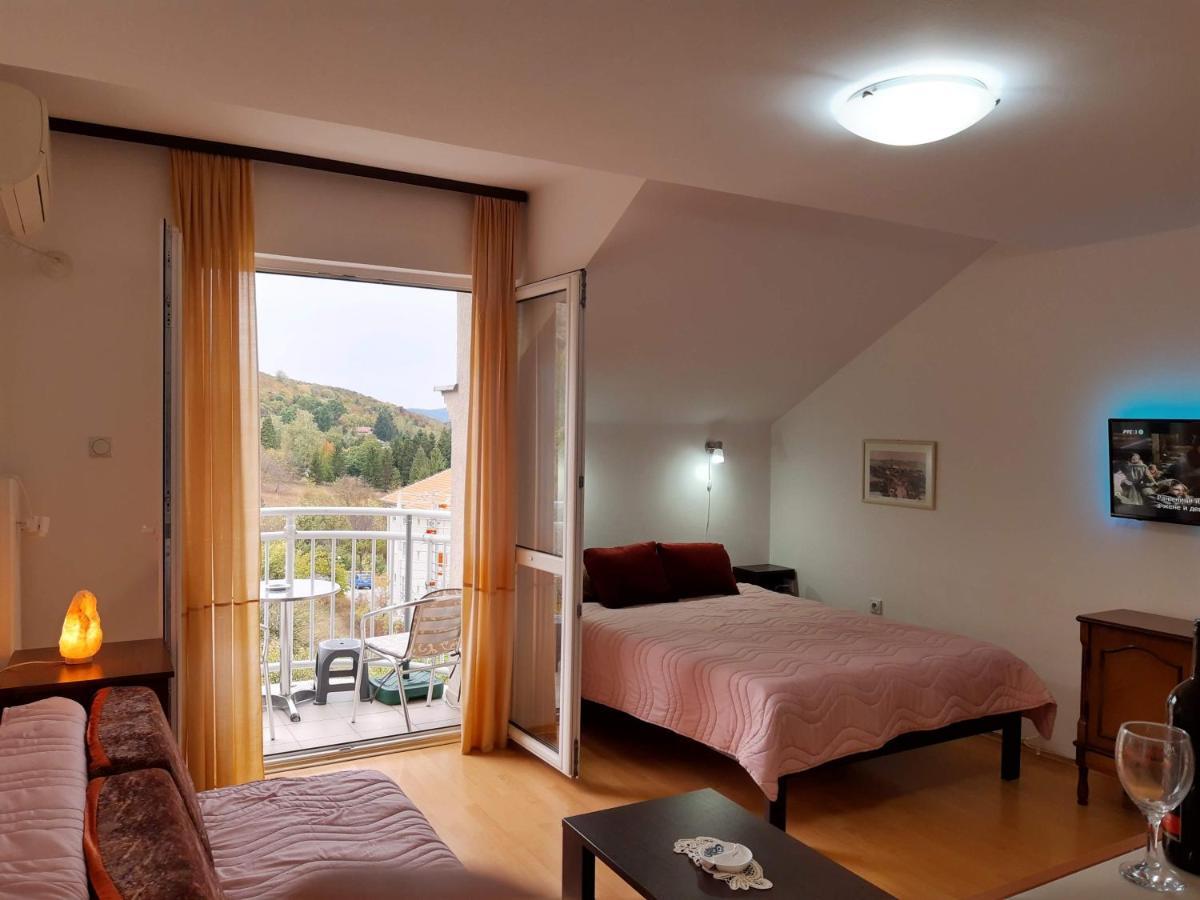 Sky Apartman Sokobanja Buitenkant foto