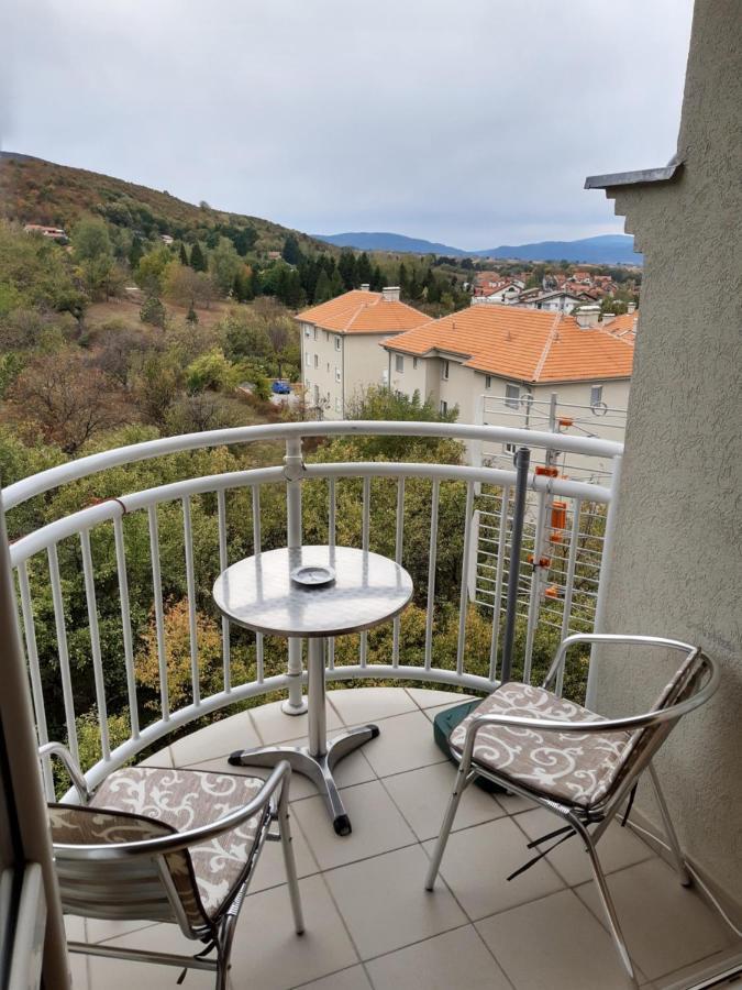 Sky Apartman Sokobanja Buitenkant foto