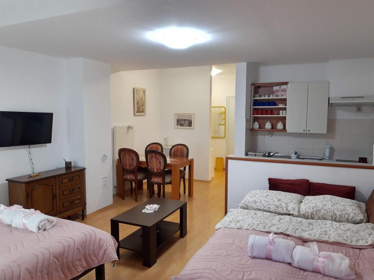 Sky Apartman Sokobanja Buitenkant foto