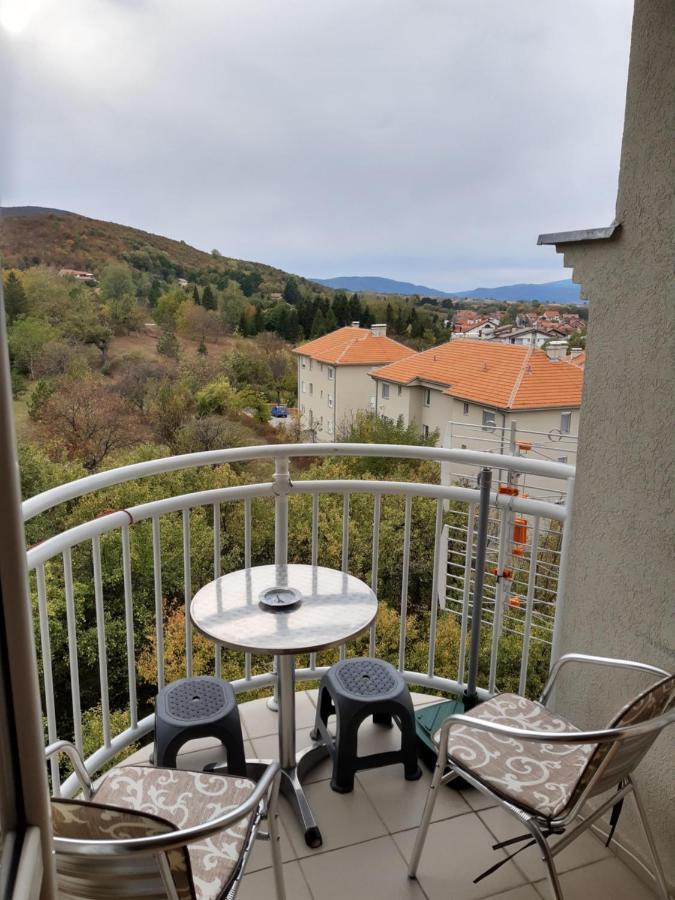 Sky Apartman Sokobanja Buitenkant foto